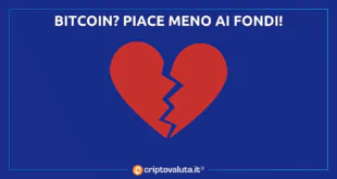 BITCOIN PIACE MENO AI FONDI