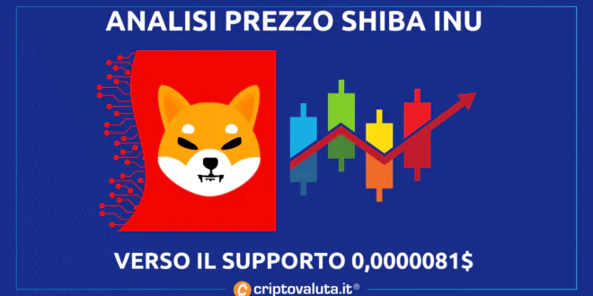 SHIBA INU