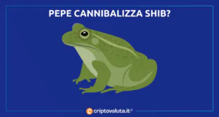 Pepe cannibalizza SHIB