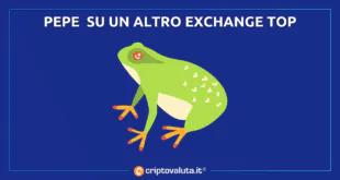 PEPE QUOTATO SU BITFINEX