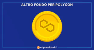 Polygon Matic fondo di investimento