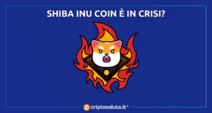 Shiba Inu Coin crisi