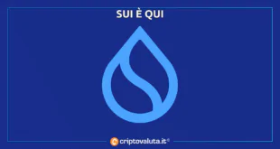 SUI TOKEN LANCIO