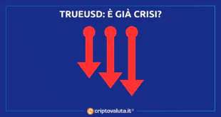 TRUEUSD CRISI