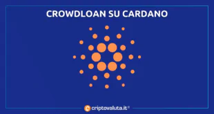 CROWDLOAN CARDANO