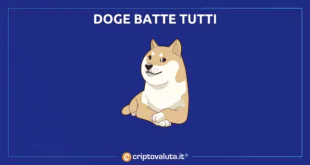 Doge batte tutti - analisi