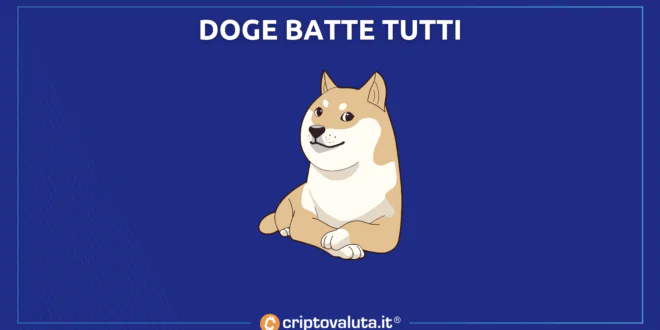 Doge batte tutti - analisi