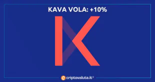 KAVA VOLA +10%