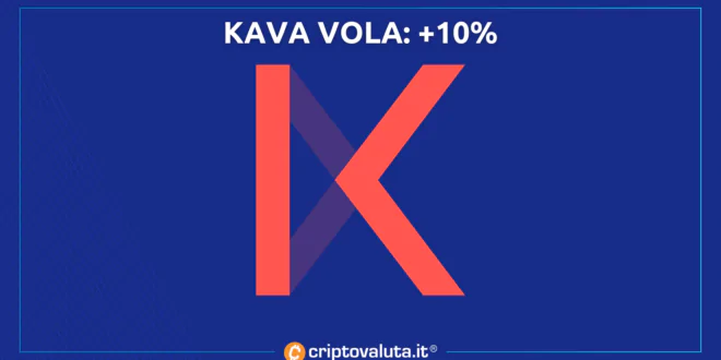 KAVA VOLA +10%