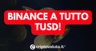 BINANCE TUSD