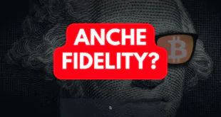 FIDELITY ANALISI