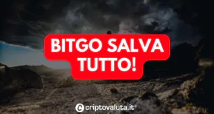 BITGO SALVA