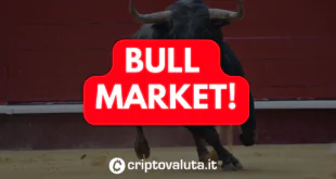 BULL MARKET BITCOIN