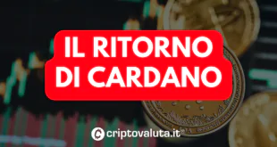 CARDANO RITORNO