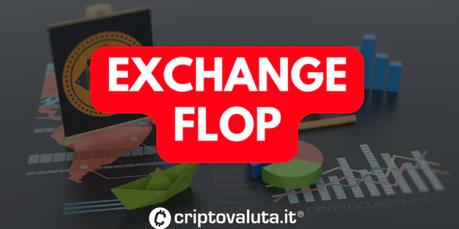 EXCHANGE FLOP ANALISI