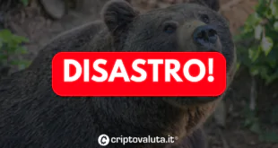 Disastro cripto analisi