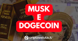 MUSK DOGECOIN