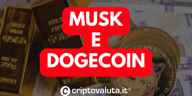 MUSK DOGECOIN