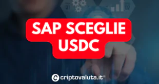 SAP USDC