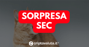 SEC SORPRESA