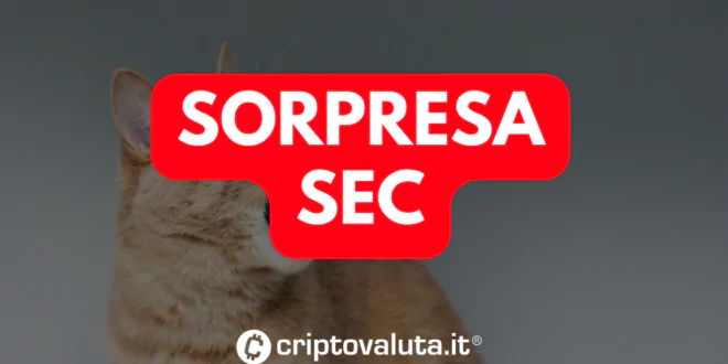 SEC SORPRESA