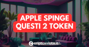 APPLE SPINGE questi 2 token analisi