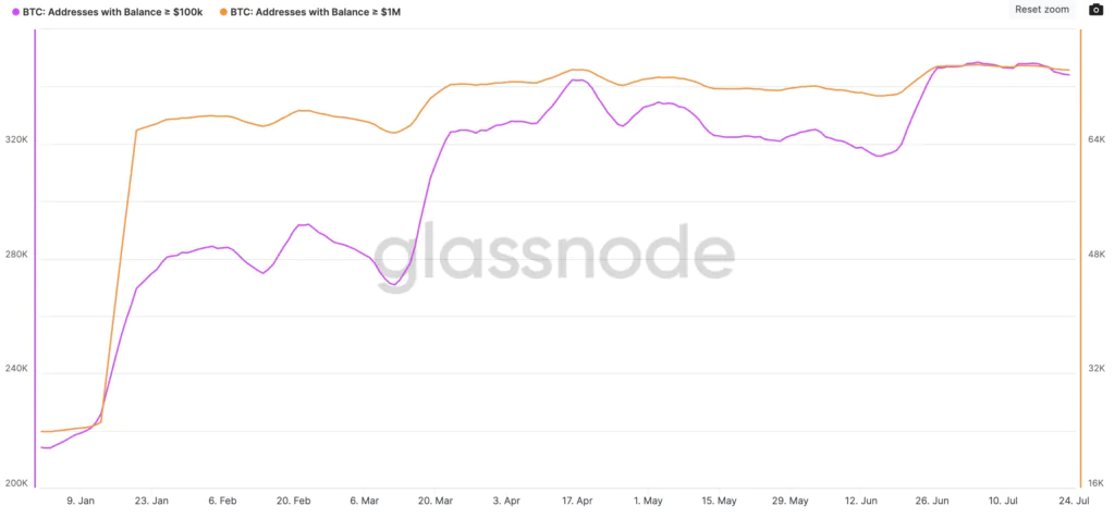 Il bitcoiner che accumulano sul lungo termine al momento non hanno paura di rallentamenti del prezzo