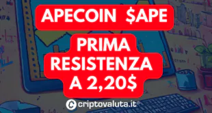 Apecoin