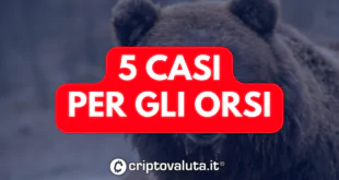 5 casi orsi