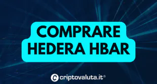 Guida completa per acquistare Hedera Hashgraph - HBAR