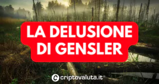 DELUSIONE GENSLER RIPPLE