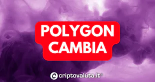 POLYGON CAMBIA GOVERNANCE