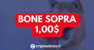 BONE SOPRA 1 DOLLARO