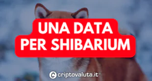 SHIBARIUM C'È DATA