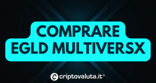 Comprare egld multiversX - guida completa di Criptovaluta.it