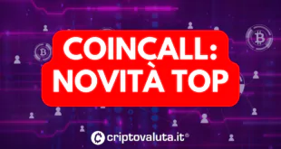 COINCALL NOVITA TOP