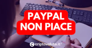 PAYPAL NO