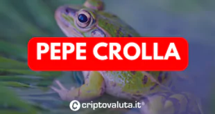 PEPE CROLLo