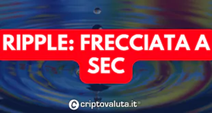 RIPPLE SEC FRECCIA