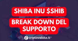 Shiba breakdown supporto
