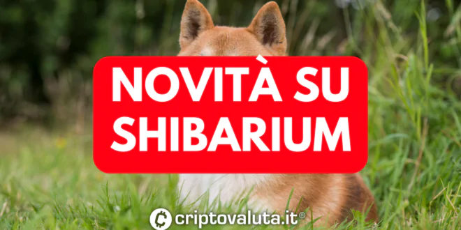 NOVITA SHIB