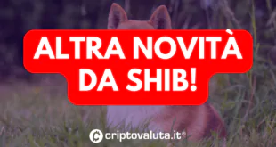 NOVITA SHIB IDENTITA