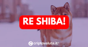 RE SHIBA ANALISI