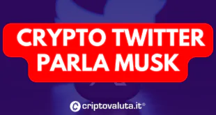 Crypto Twitter Parla Musk