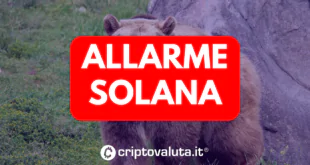 ALLARME SOLANA COSA