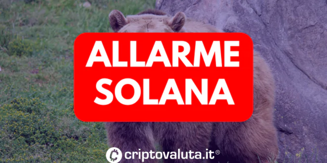 ALLARME SOLANA COSA