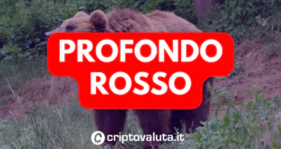 PROFONDO ROSSO BITCOIN