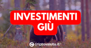 investimenti vc crypto