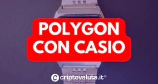 Polygon con Casio