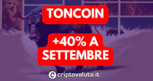 TONCOIN